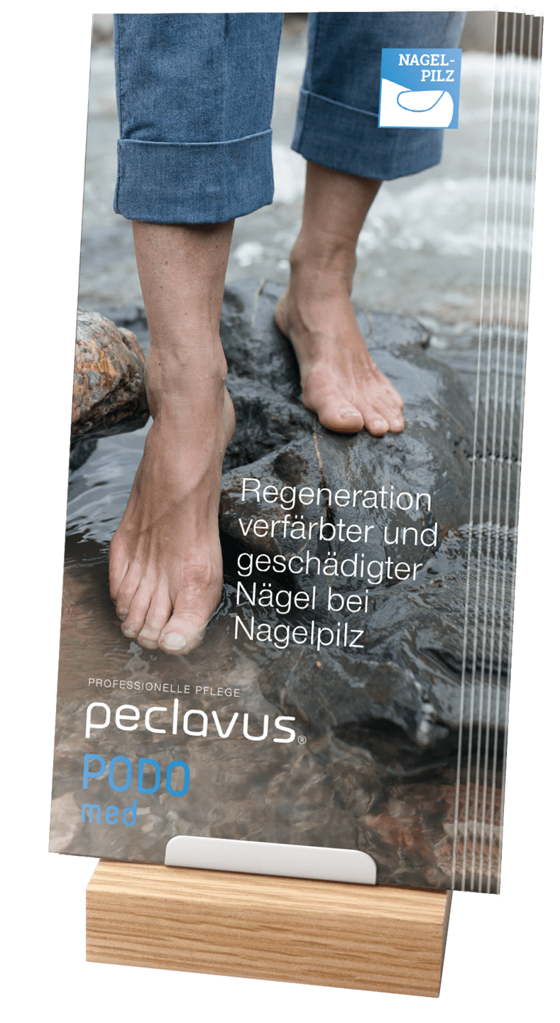 peclavus - Broschürenhalter für Holzpodest